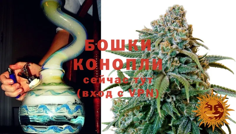 Каннабис White Widow  Костомукша 